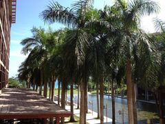 从阳台的角度-三亚亚龙湾红树林度假酒店