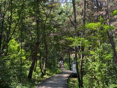 -帽儿山国家森林公园