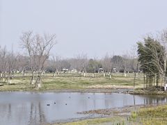 -良渚古城遗址公园