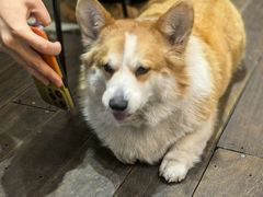 -肥朵食堂(带梦胡同店)