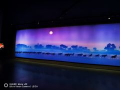 -罗红摄影艺术馆