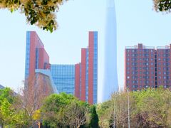 -泰丰公园