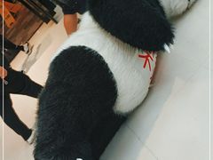 -万达广场(大明宫店)