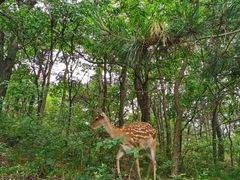 -大连森林动物园