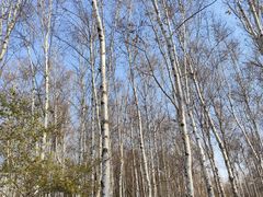 -长春市南湖公园