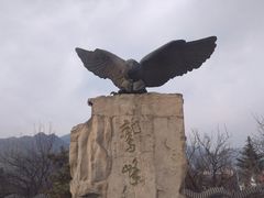-北京鹫峰国家森林公园