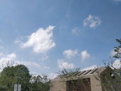 -上海植物园-4号门售票处