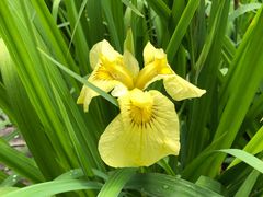 -白塘生态植物园