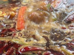 -黄潇洒老火锅(九眼桥宏济巷店)