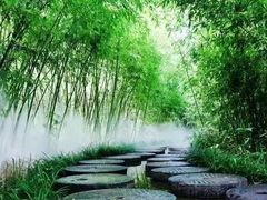 -雪山彩虹谷景区