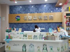 -瑞派名望24h动物医院异宠专科·猫专科·骨科·重症监护分院