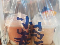 -春丽小马(济南恒隆广场店)