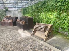 -上海都市菜园