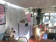 -猫小院猫主题咖啡厅(北锣店)