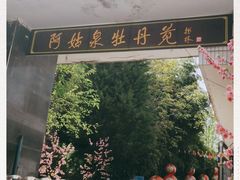 -盛世牡丹苑生态文化旅游区