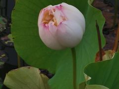 -木塔寺遗址生态公园
