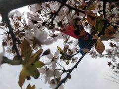 -玲珑阁昆山菜(锦溪店)