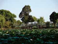 -无锡蠡湖国家湿地公园-蠡园