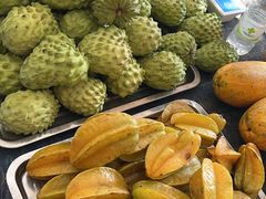 -西双版纳傣族园