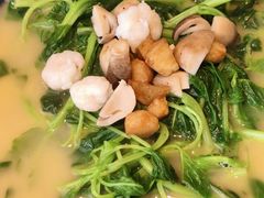 上汤鸡毛菜-江南厨子(万象天地店)