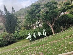 -青青世界