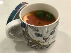 -飞行喵MR PILOT|猫舍·猫咖(静安大融城店)