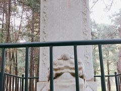-北京植物园南门售票处