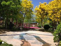 -武清南湖绿博园