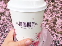 -鸡鸣赐茶(鸡鸣寺路店)