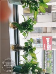 点击看大图 -尚艺造型.剪烫染.接发