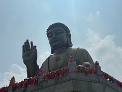 -龙口南山旅游景区