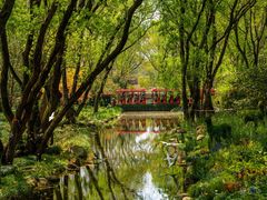 -上海共青森林公园