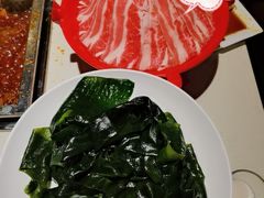 -红鼎坊·老成都火锅(新南门店)