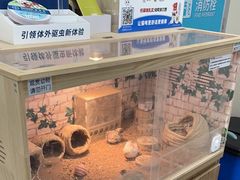 -美联众合爱康动物医院•复杂内科•肿瘤科•牙科•腔镜诊疗中心