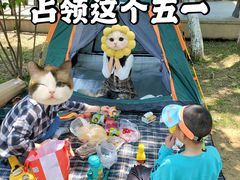 -大塘金香草谷