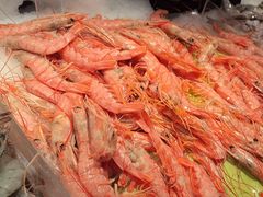 -星伦多自助料理·涮烤一体(江桥万达店)