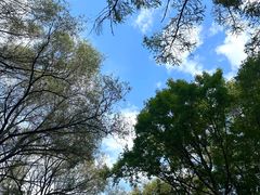 -沈阳植物园