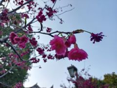 -乌山风景区