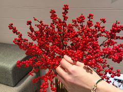 -FRED斐登(上海恒隆精品店)