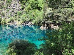 -叠溪松坪沟景区