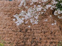 -中国茶叶博物馆(双峰馆区)