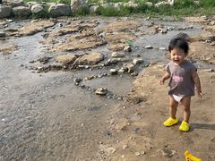 -绿堤公园