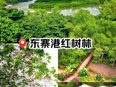 -东寨港红树林旅游区