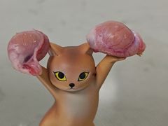 -喜多萌中农锦绣动物医院24H·猫科·牙科MRI·CT