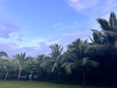 -三亚海棠湾喜来登度假酒店