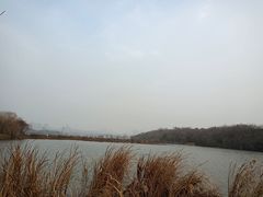 -盘龙城国家考古遗址公园