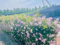 -南京眼步行桥