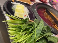 -生活如沸·顺德水牛奶火锅(大学路店)