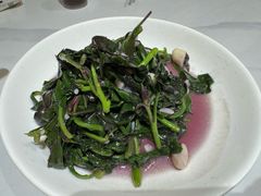 -全乐鱼馆·淳牌有机鱼直营店