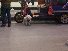 门面-许阿姨糕团店(南京总店)